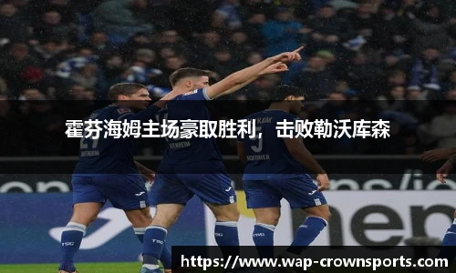 霍芬海姆主场豪取胜利，击败勒沃库森